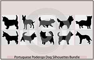 portuguese podengo pequeno Dog silhouette,Colorful decorative portrait of standing in profile Wire Coat Portuguese Podeng photo