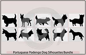 portuguese podengo pequeno Dog silhouette,Colorful decorative portrait of standing in profile Wire Coat Portuguese Podeng