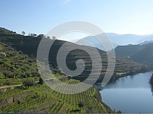 Portuguese terraces Porto Douro Valley