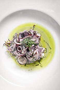 Portuguese traditional fresh seafood marinated squid salad in coriander oil photo