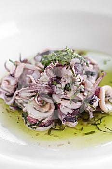 Portuguese traditional fresh seafood marinated squid salad in coriander oil photo
