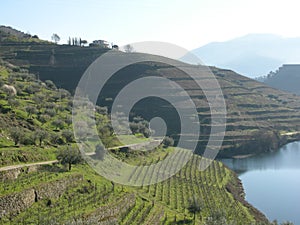 Portuguese winelands terraces Porto Douro Valley