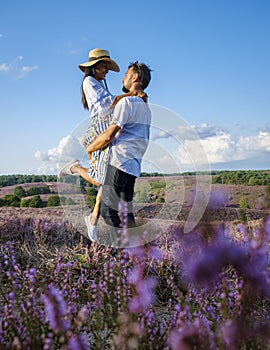 Posbank National park Veluwe, purple pink heather in bloom, blooming heater on the Veluwe