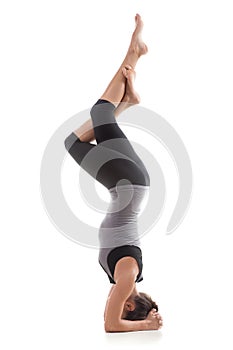 Pose shirshasana