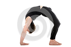 Pose Urdva Dhanurasana