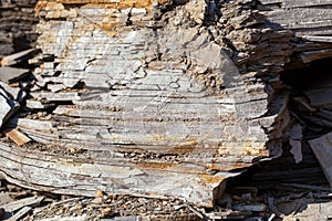 Posidonia Shales in a quarry