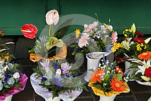 Posies on Market in Bolzano South Tirol Italy