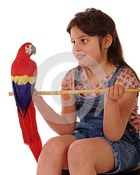 Posing with a Parrot