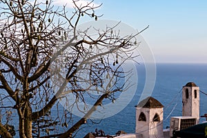Positano - Floss silktree next to a small chapel with view on the mediterranean sea in Positano, Amalfi Coast, Italy