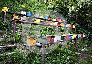 position of brightly colored bee hives