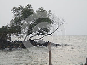 The position of the seafront stone pair to withstand the beach waves