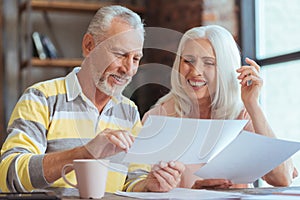 Positive aged couple being involved in paperwork at home