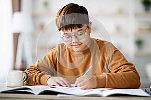 Positive asian schooler doing homework, writing at notebook