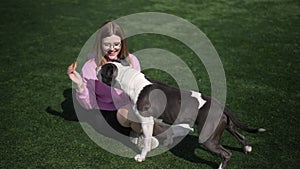 Positive charming woman in eyeglasses playing with American Staffordshire Terrier feeding pet with bagel. Wide shot