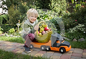 positive cheerful boy is carrying basket with organic farm apples and grapes on a big toy car - a truck