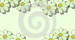 Positive and cheerful illustration of flowers. Banner full of life. White daisies. Refreshing card