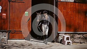 Positive confident woman walking out of stable with horse on bridle. Front view portrait of gorgeous slim Caucasian