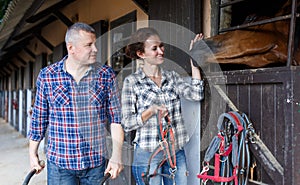 Positive family couple with belly-band feeding a horse at stable outdoor