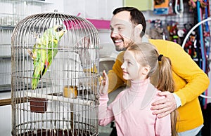 Positive father and daughter looking at green parrot