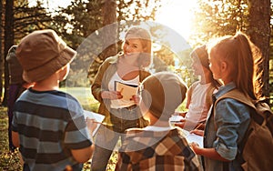 Positive female teacher interacting with school kids boys and girls during ecology lesson in forest