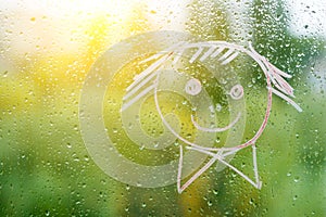 Positive funny smiley on rainy autumn window