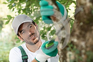 positive gardener cutting tree branch with trimmer in park photo