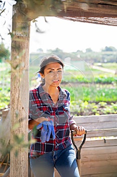 Positive hispanic woman gardener posing in vegetable garden