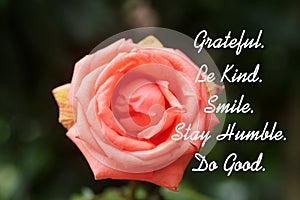 Positive inspirational motivational words - Grateful. Be kind. Smile. Stay humble. Do Good. With beautiful peach rose flower.