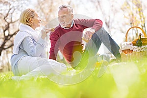 Positive joyful man having a picnic with his wife