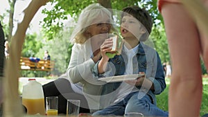 Positive little boy having a picnic with his family