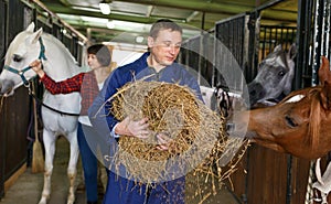 Lavoratore alimentazione un cavallo fieno 