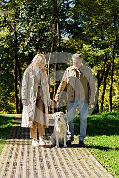 Positive middle aged couple walking with