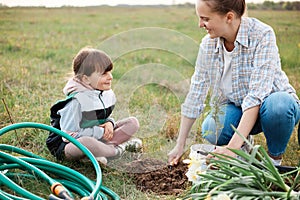 Positive optimistic mother digging hole for planting a young raspberry plant, planting in the ground tasty berry bush, doing