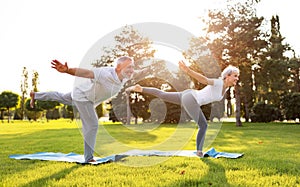 Positive senior couple practicing partner yoga in nature on open air in park