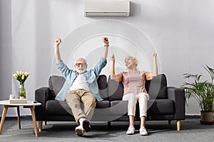 Positive senior couple showing yeah gesture