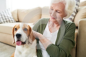 Positive senior owner stroking dog