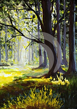 Positive solar painting with acrylic Sun rays in the forest
