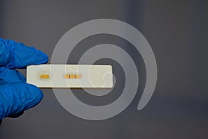 Positive urine pregnancy test, Human chorionic gonadotropin (hCG), a hormone for maternal recognition of pregnancy