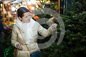 Positive woman buying Christmas tree in street market