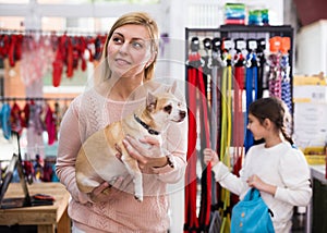 Positive woman with chihuahua dog in pet shop