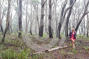 Positive woman hiking in forest of gums and eucalypts