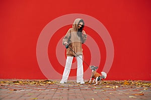 Positive woman playing with a cute dog breed biewer terrier on the street against the backdrop of a red wall, holding a pet on a