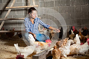 Female farmer feeding chickens photo