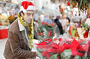 Young man in Christmas hat buying flowers and decoration at Christmas fair