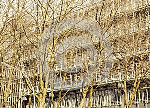 Post card view: european city street with spring tree on building facade closeup