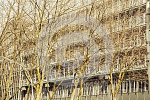 Post card view: european city street with spring tree on building facade