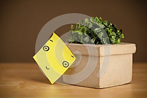 Post-it note with smiley face sticked on flowerpot