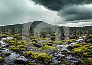 Post-nuclear Wilderness. Landscape transformed by nuclear fallout, featuring mutated flora photo