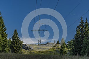 Post pole in Slavkovsky les national park