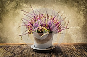 Post-process painting of heather flower in pot
